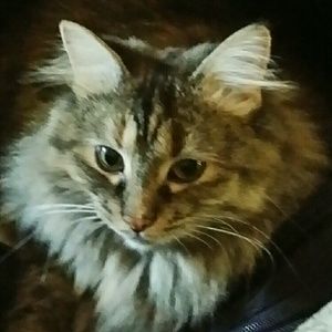 Meet your Posher, Cindy